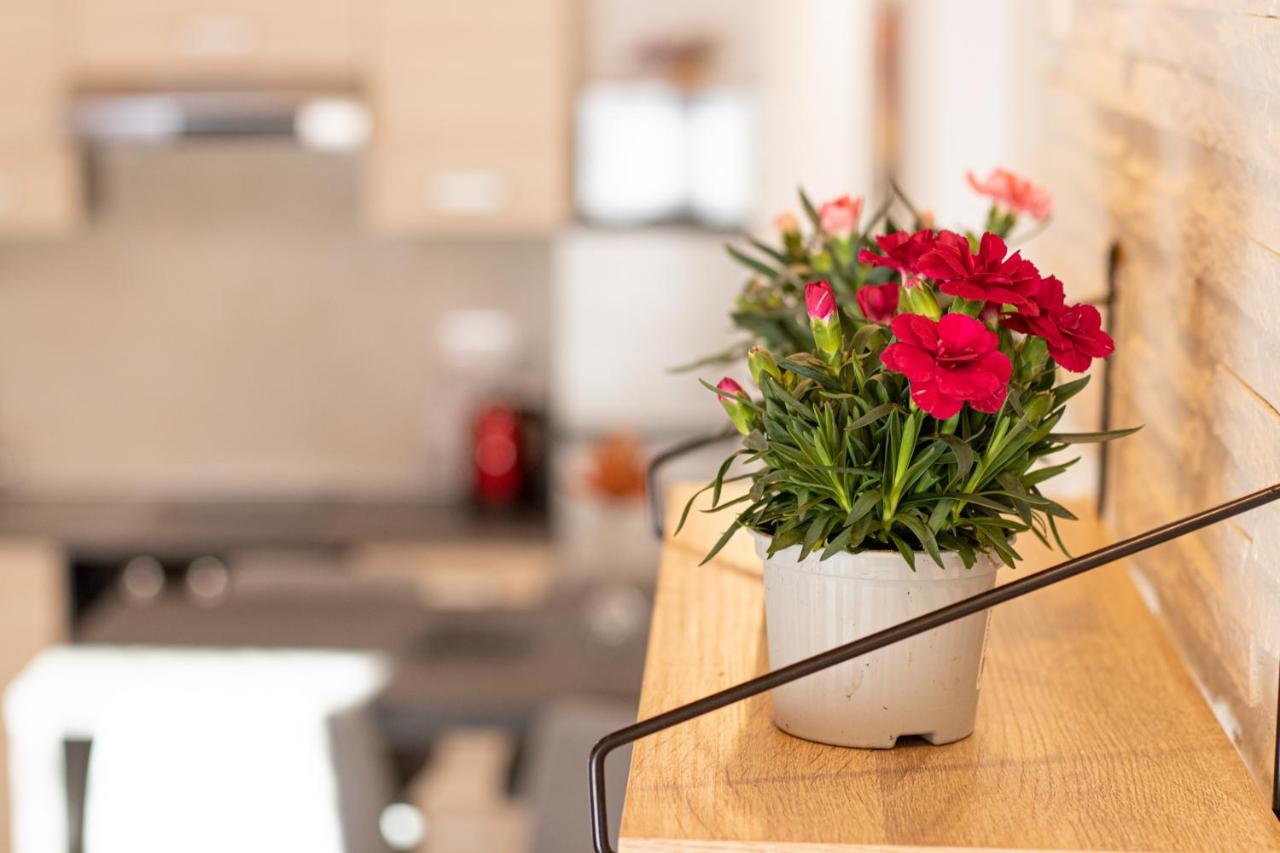 Apartment Gazic Zadar Ngoại thất bức ảnh